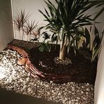 Ebony Landscape - @ebony_landscape - Instagram
