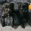 Ebony&Layla - @ebonylayla2020 - TikTok