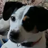 Ebony & Lilly Minters - @ebony.lilly.minte - TikTok