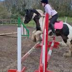 Ebony + little mare 🩷 - @equestrian.ebony14 - Instagram