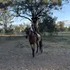 Ebony.luna.main - @ebony.main3 - TikTok