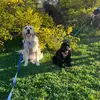 luna & Ebony - @adventureofluna_andebony - TikTok
