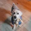 Luna - @jakebony.luna - TikTok