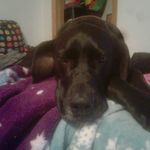 Ebony coulter and  MARLEY MAE - @eboney6132_marley - Instagram