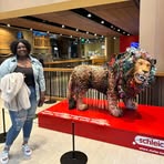 Ebony Wallace-Morrow - Facebook
