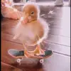 ebony naylor - @sage._.yourfavouriteee - TikTok