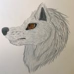 Banks Island Wolf Therian - @ebonyofthenorth - Instagram