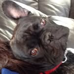 Disney_Stitch&Ebony - @oakley_ebony192 - Instagram