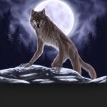 Veronica And Werewolf Pack - @ebony.pack - Instagram