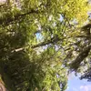 uʍop ǝpısdn - @tryingtoswitch - TikTok