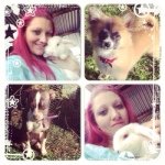 Peaches Ebony Paris Olaf - @pawfect_friends - Instagram