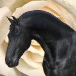 Ebony Park - @ebonyparkstud - Instagram