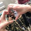 Ebony Plummer - @ebonyplummer - TikTok
