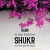 Mariam 247077 - @ebonypride77 - TikTok
