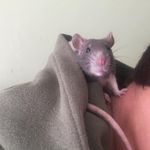 @quinn_ebony_ivory - Instagram