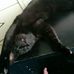 Ebony -Ebon- Francesco Ramirez Clark Lewis - Facebook