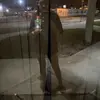 ebonyrosado6 - @ebonyrosado6 - TikTok
