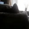 ebonysharples13742 - @ebony.sharples - TikTok