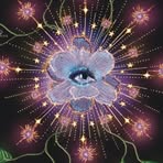 Ebony Shepherd - Facebook