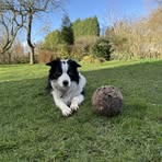 Ebony Shepherd - Facebook