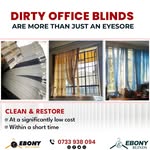 @ebony_shine_a_blind - Instagram