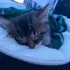 Ebony - @ebony.small - TikTok