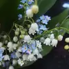 EbonySnow - @ebonysnow_wc - TikTok