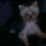 Im my mother’s fav Eb - @ebonystuckey - Instagram
