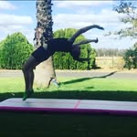💛євσиу💛 - @ebony_osullivan - Instagram