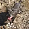 eboneysutherland - @eboneysutherland - TikTok