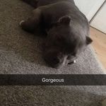 Ebony Todd2008 - @ebonytodd2008 - Instagram