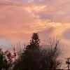 ebony.torres05 - @ebony.torres05 - TikTok