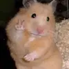 ebby - @ebonywalters02 - TikTok