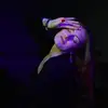 ebony.watt - @ebonywatt93 - TikTok
