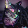Ebon Westbrook - @ebonwestbrook - TikTok
