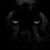 Eboneyyy - @ebonyy_wolf - TikTok