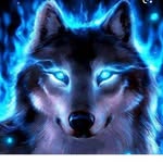Ebony wolf - @ebonywolf95 - Instagram