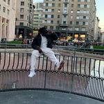 ebou Ceesay - @c_ebou - Instagram