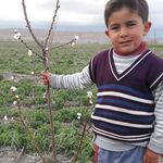 ابراهیم - @ebrahim._abbasi - Instagram