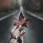 Ebrahim Afshar - @ebrahimafshar210 - Instagram