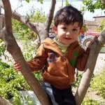 ebrahim afshar - @ebrahimafshar84 - Instagram