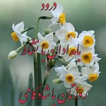 ebrahim afshar - @ebrahimafshar69 - Instagram