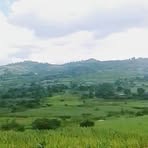 Ibrahim Aadam Alishu - Facebook