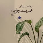 ebrahim.ahadi - @br_hym1164 - Instagram