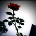 Ebrahim Ahammed - Facebook
