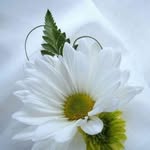 Ebrahim Ahammed - @ahammed5856 - Instagram
