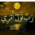 Ebrahim Abd Elkodos Barakat - @ebrahimabdelkodos - Instagram