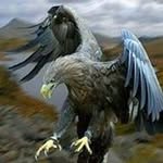 Ebrahim Barakat - @ebrahimbarakat6090 - Instagram