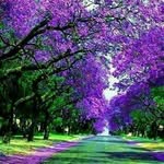 Ebrahim Barakat - @e2856 - Instagram