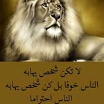 ebrahim barakat - @ebrahimbarakat2361 - Instagram